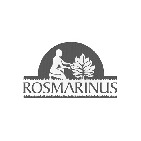Logotipo-Logo-Rosma